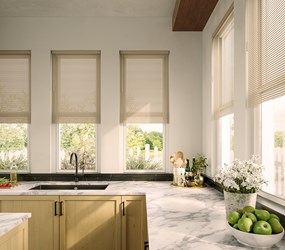 American Blinds: Classic 1 Inch Cordless Vinyl Blinds